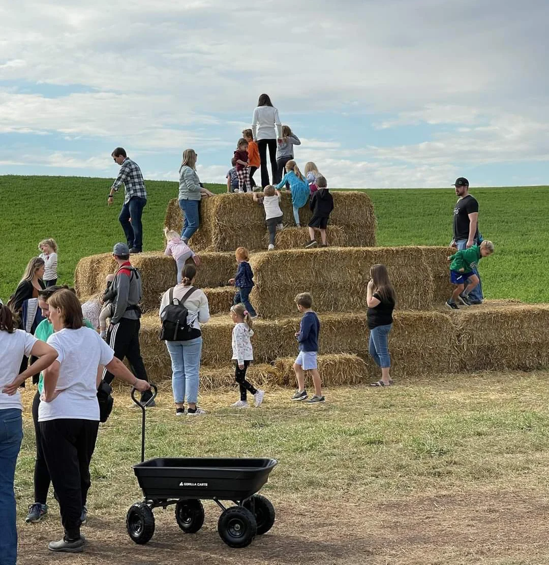 Straw Mountain