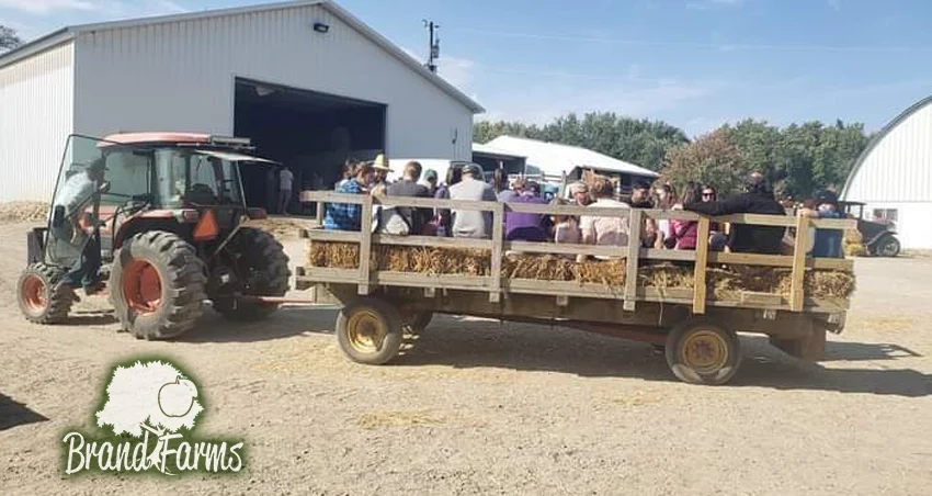 Hayrides