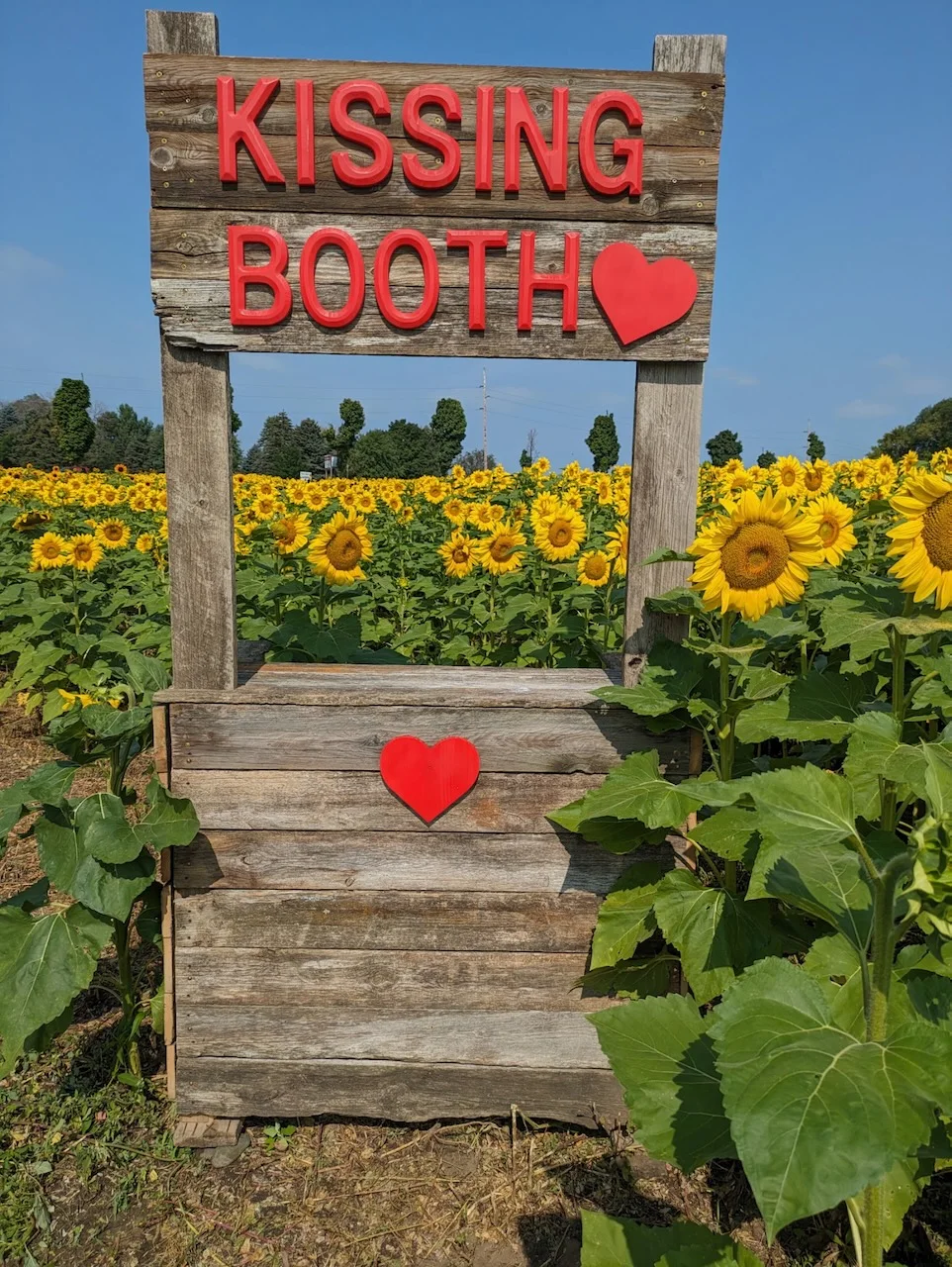 Photo Spots