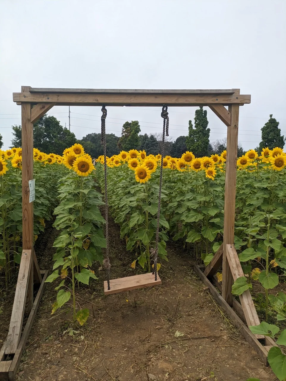 Date Night at the Orchard
