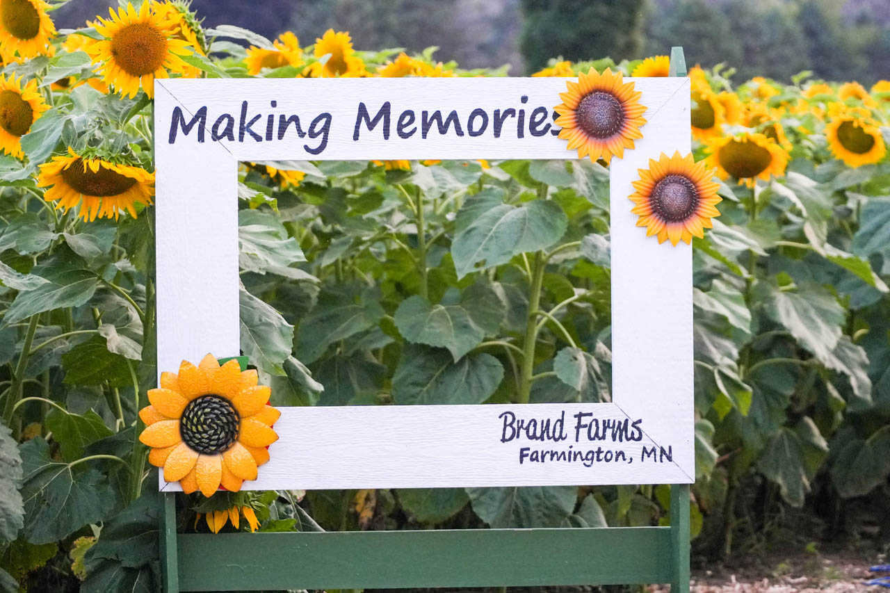 Rhythm & Blooms 2025