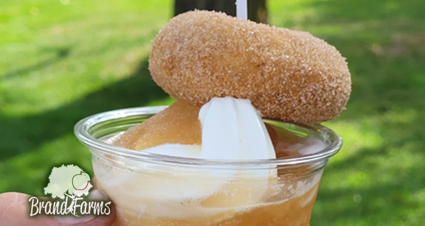 Apple donuts