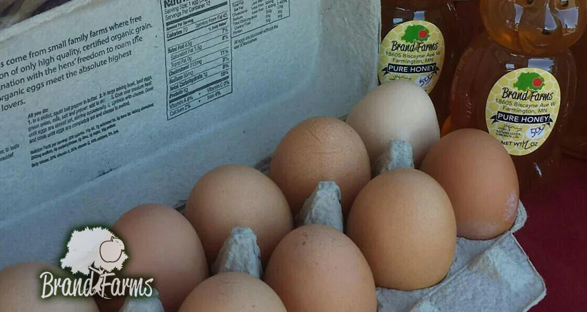 Eggs