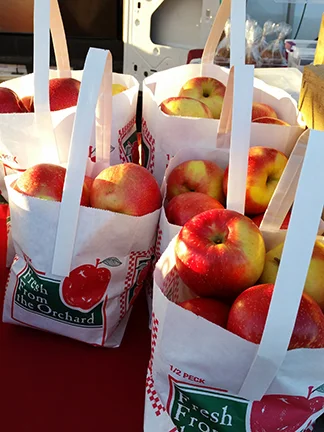 U-Pick Apples
