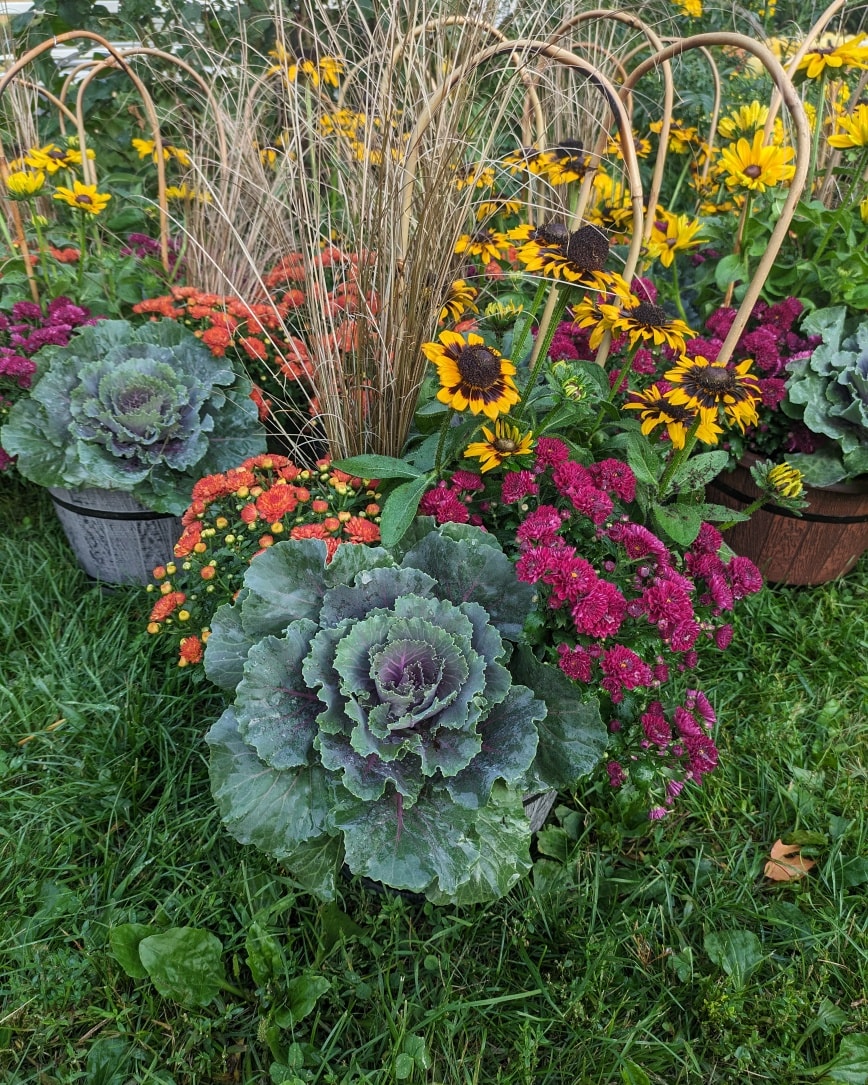 Spring surprise coming to Brand Farms