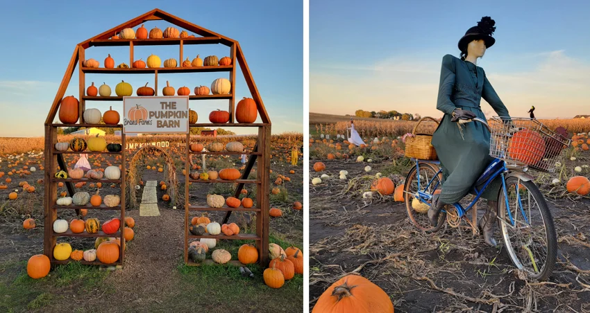 Families at the Farm - Halloween Edition