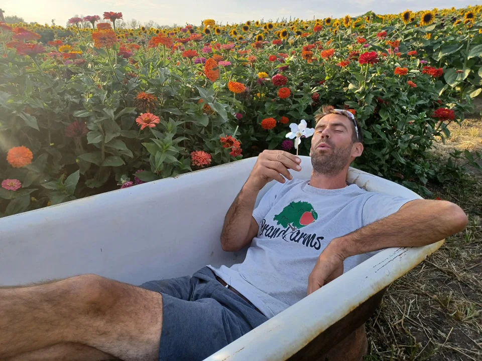 Farmer Aaron's Sunflowers