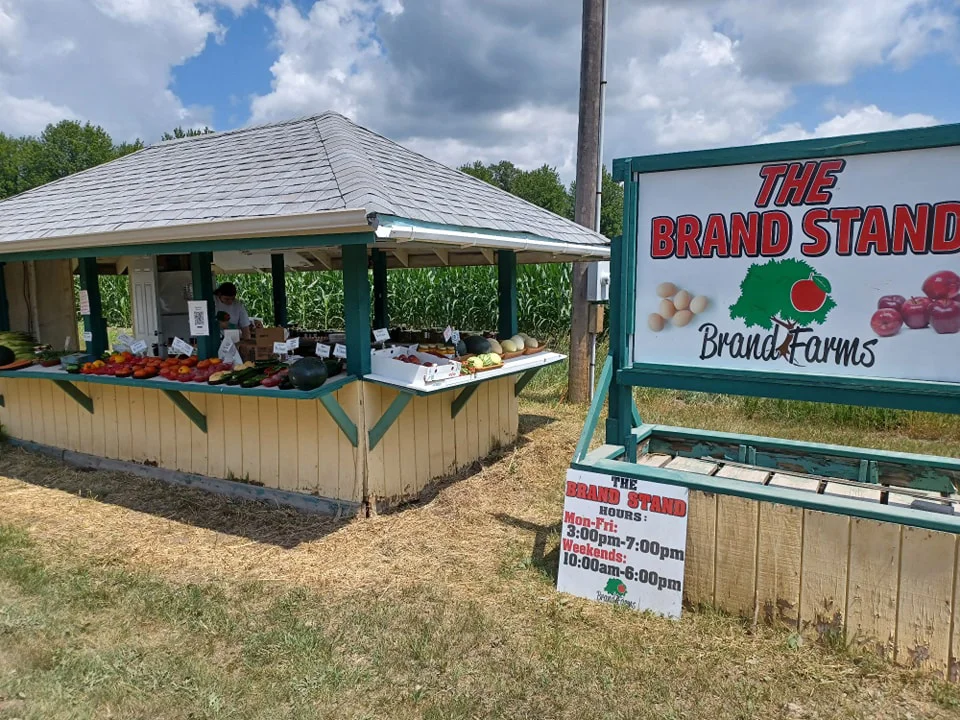 Dakota County Fair